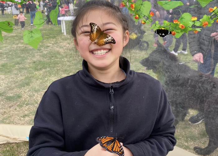 Mobile Butterfly House Melbourne
